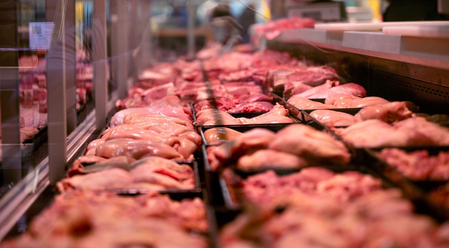 Frisk k�d i k�ledisk